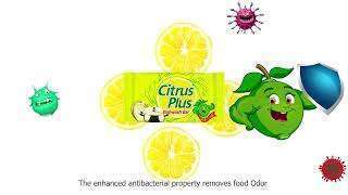 Citrus Plus Dishwash Bar 160g - Image 4
