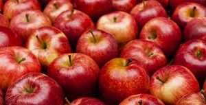 Apple 1kg