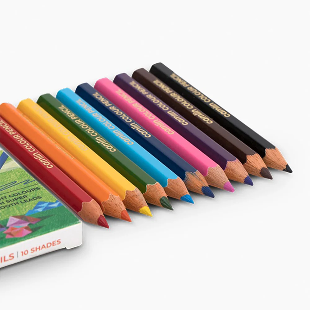 Camlin Colour Pencils 12 Shades - Image 3