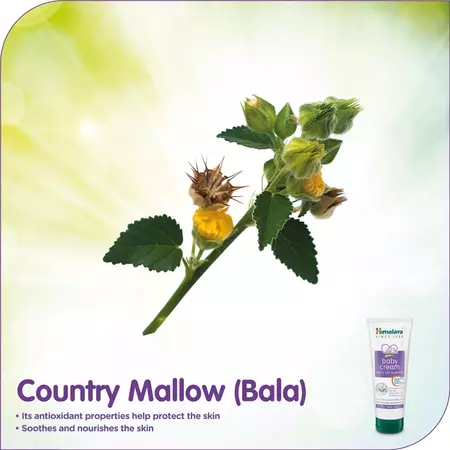 Himalaya Gentle Baby Cream 50ml - Image 3