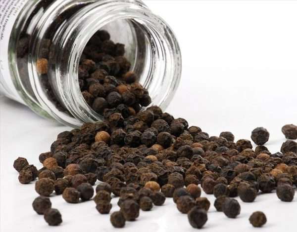 Milahu / Pepper Nayam Bold No.1 - Image 3